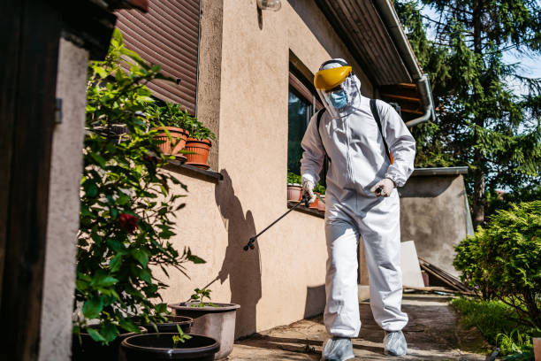 Best Rat Extermination Near Me  in Redstone Arsen, AL