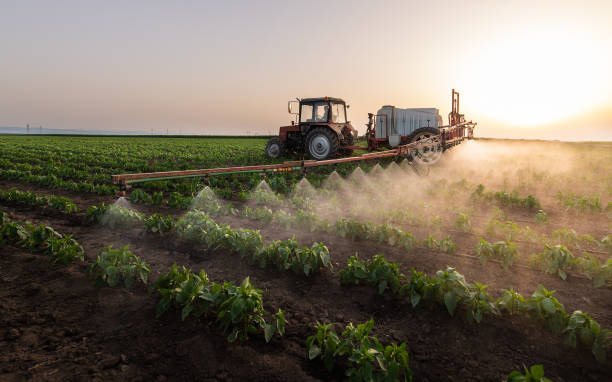 Best Mosquito Control Services  in Redstone Arsen, AL