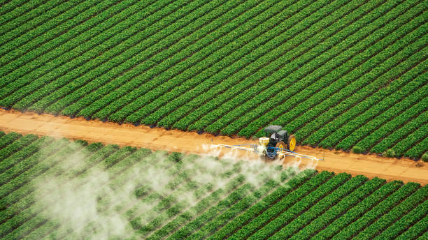 Best Pest Control for Homes  in Redstone Arsen, AL