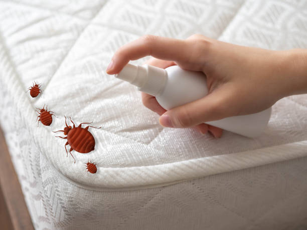 Trusted Redstone Arsenal, AL Pest Control Experts