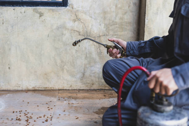 Best Flea Control Services  in Redstone Arsen, AL