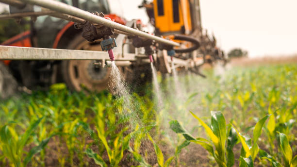 Best Ant Control Services  in Redstone Arsen, AL