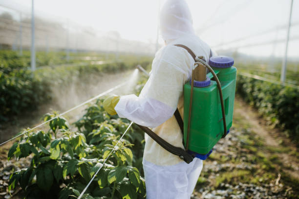 Best Pest Removal Services  in Redstone Arsen, AL